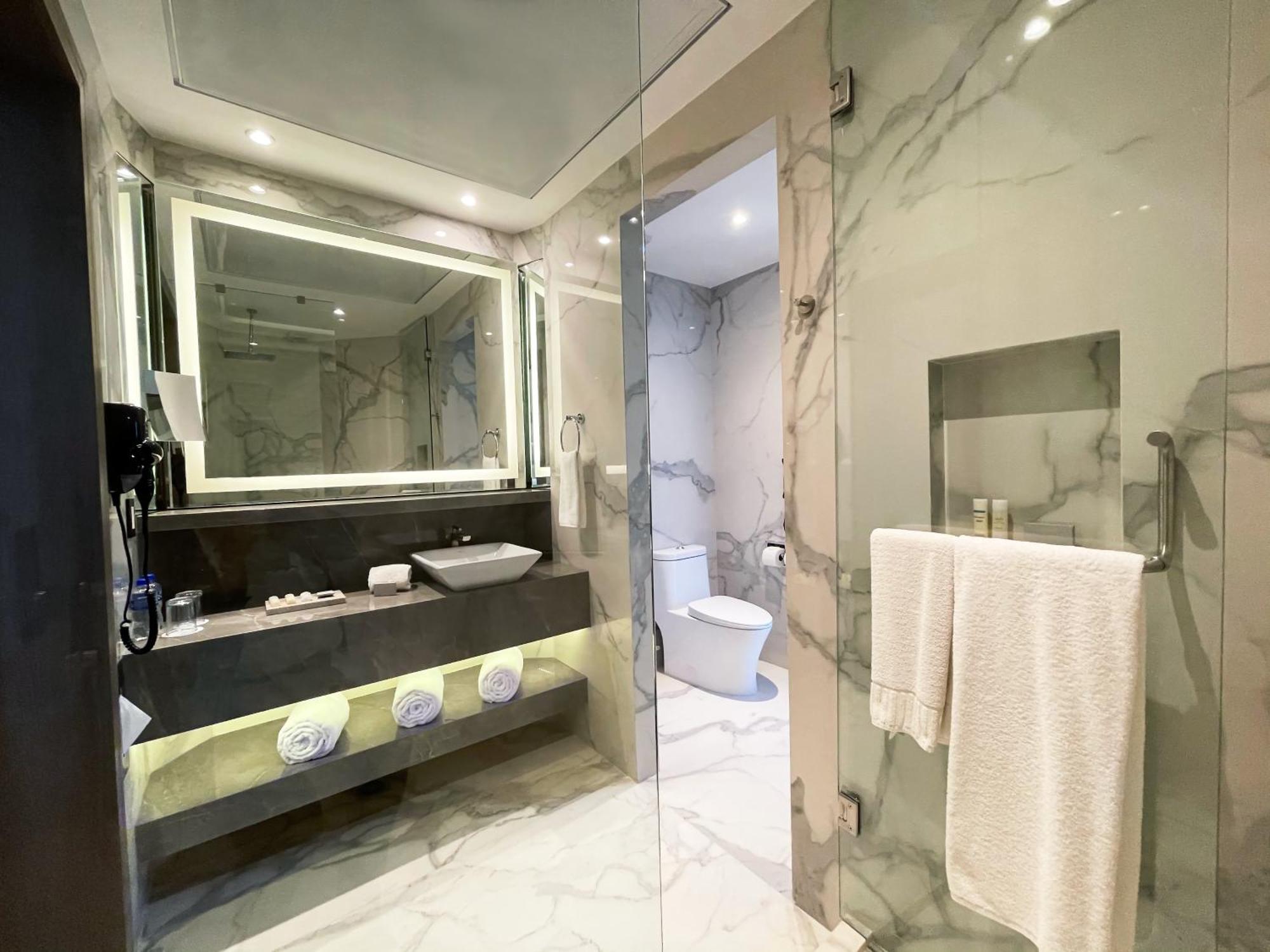 Safi Royal Luxury Metropolitan Otel San Pedro Garza Garcia Dış mekan fotoğraf